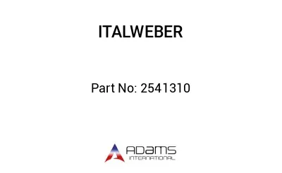 2541310 2541310