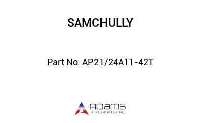 AP21/24A11-42T
