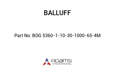BDG 5360-1-10-30-1000-65-4M									