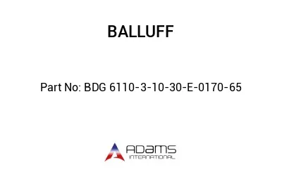 BDG 6110-3-10-30-E-0170-65									