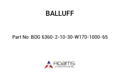 BDG 6360-2-10-30-W170-1000-65									