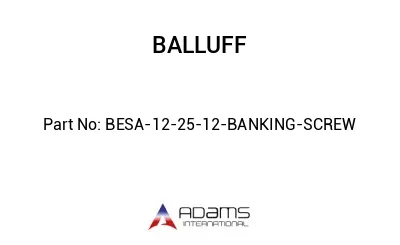 BESA-12-25-12-BANKING-SCREW									