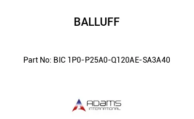 BIC 1P0-P25A0-Q120AE-SA3A40									