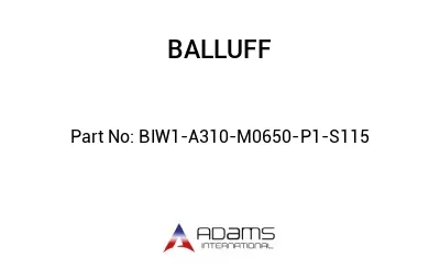 BIW1-A310-M0650-P1-S115									
