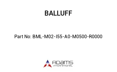 BML-M02-I55-A0-M0500-R0000									