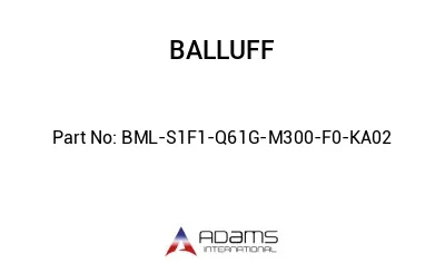 BML-S1F1-Q61G-M300-F0-KA02									