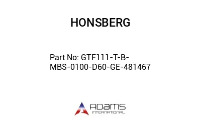 GTF111-T-B-MBS-0100-D60-GE-481467 GTF111-T-B-MBS-0100-D60-GE-481467
