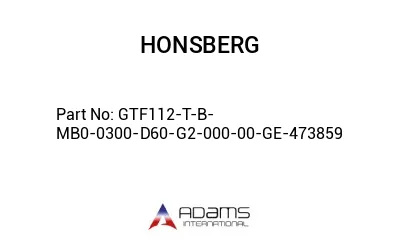GTF112-T-B-MB0-0300-D60-G2-000-00-GE-473859 GTF112-T-B-MB0-0300-D60-G2-000-00-GE-473859