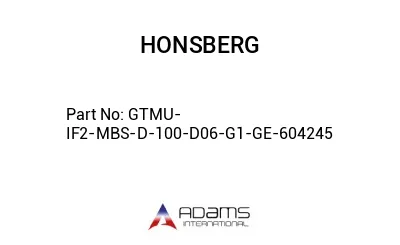 GTMU-IF2-MBS-D-100-D06-G1-GE-604245 GTMU-IF2-MBS-D-100-D06-G1-GE-604245
