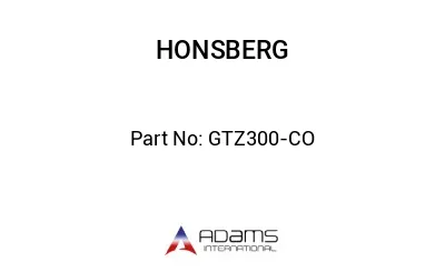 GTZ300-CO GTZ300-CO