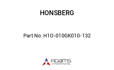 H1O-010GK010-132 H1O-010GK010-132