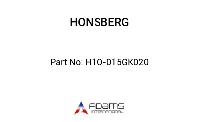 H1O-015GK020 H1O-015GK020