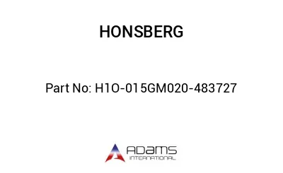 H1O-015GM020-483727 H1O-015GM020-483727