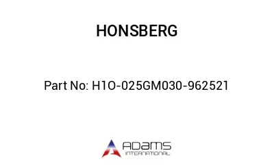 H1O-025GM030-962521 H1O-025GM030-962521
