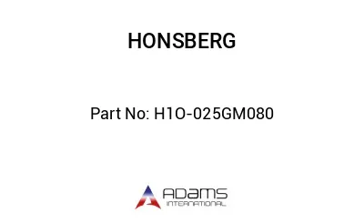 H1O-025GM080 H1O-025GM080