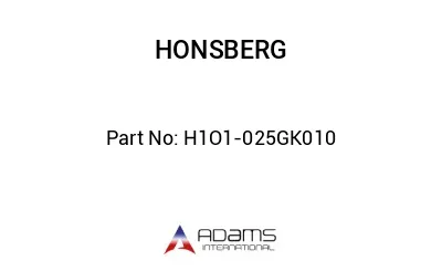 H1O1-025GK010 H1O1-025GK010