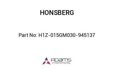 H1Z-015GM030-945137 H1Z-015GM030-945137