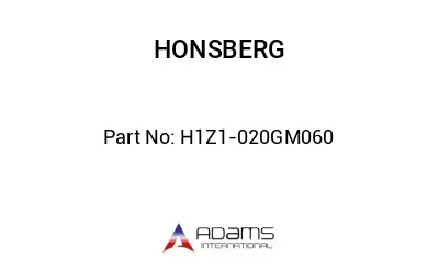 H1Z1-020GM060 H1Z1-020GM060