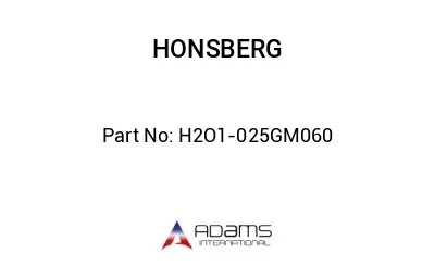 H2O1-025GM060 H2O1-025GM060